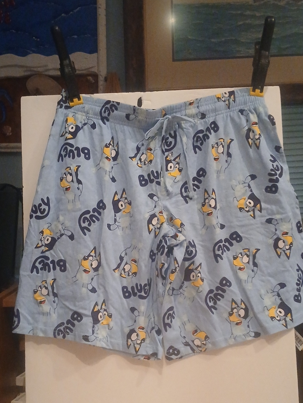 Light Blue Bluey Men's Flat Front Lounge Shorts